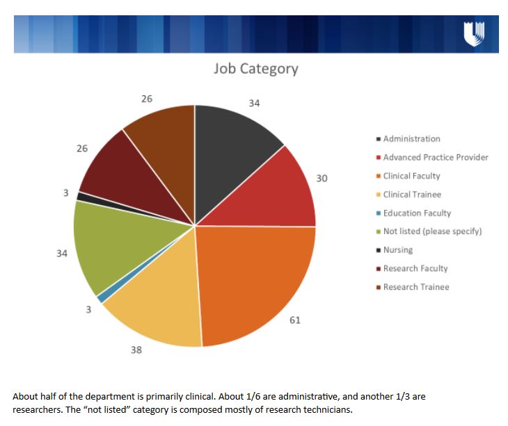 DI census pie chart by job category