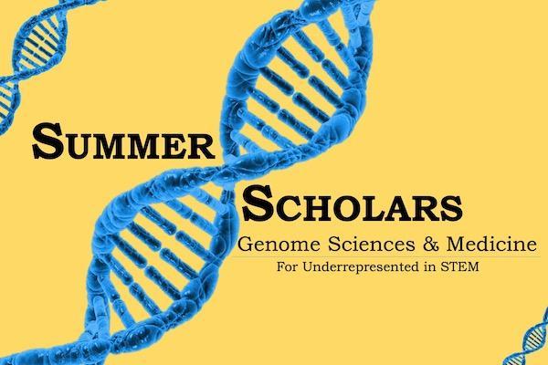 Summer of scholars logo