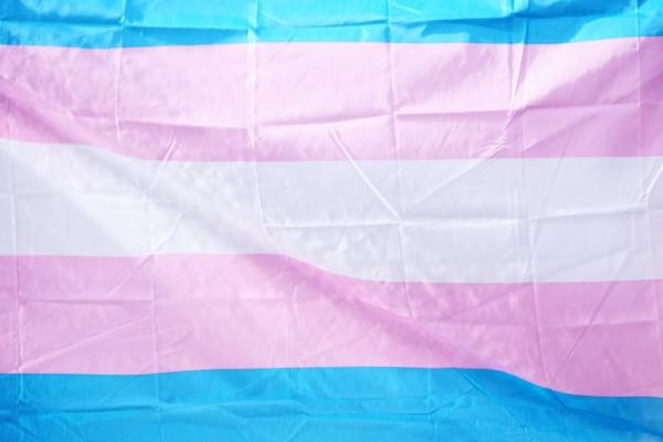 Transgender flag