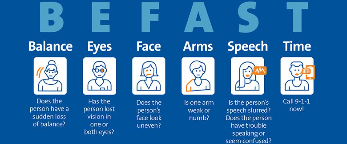 About Stroke  Duke Department of Neurology