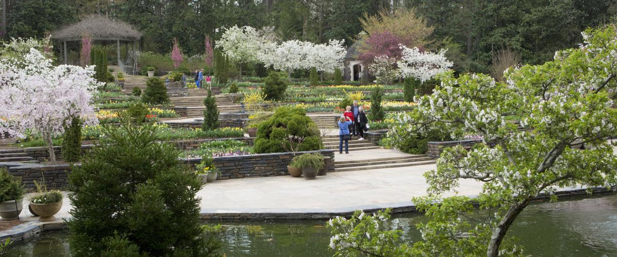 Duke Gardens Photo