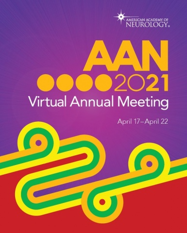 AAN 2021 Meeting Graphic