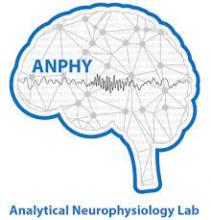 Anphy brain image