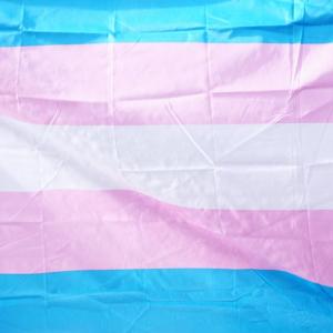 Transgender flag
