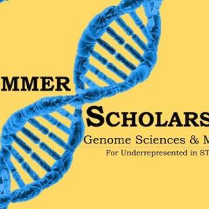 Summer of scholars logo